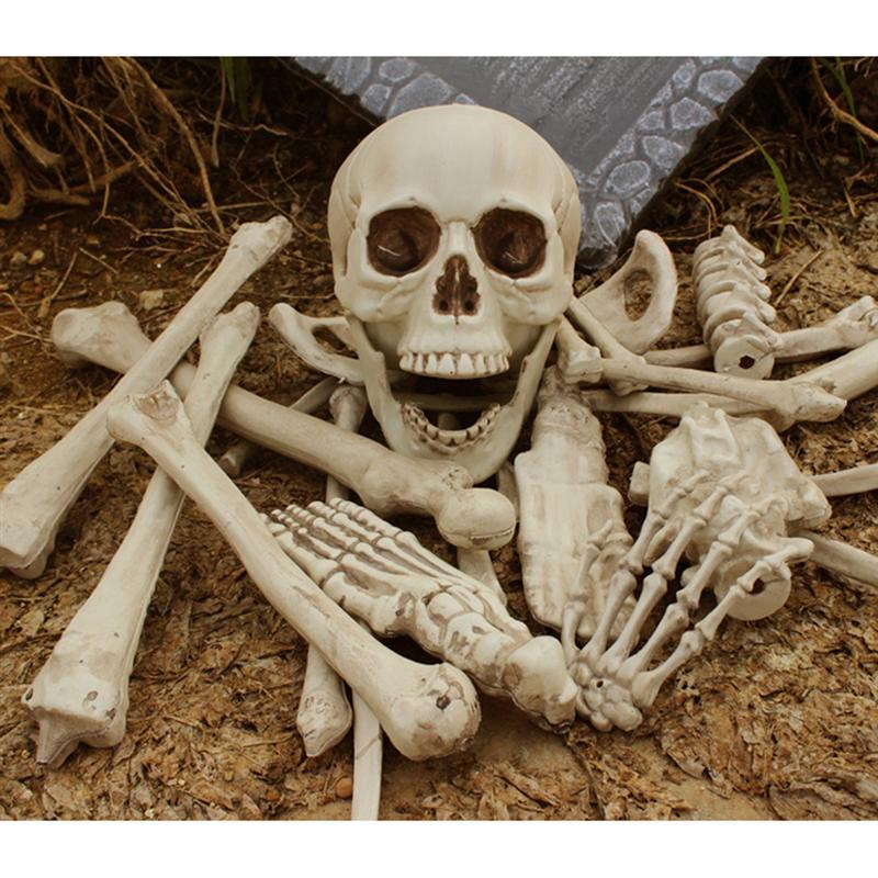 Bag of Bones Skeleton Human