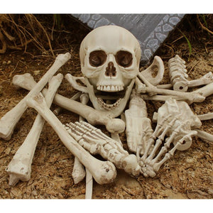 Bag of Bones  Skeleton Human