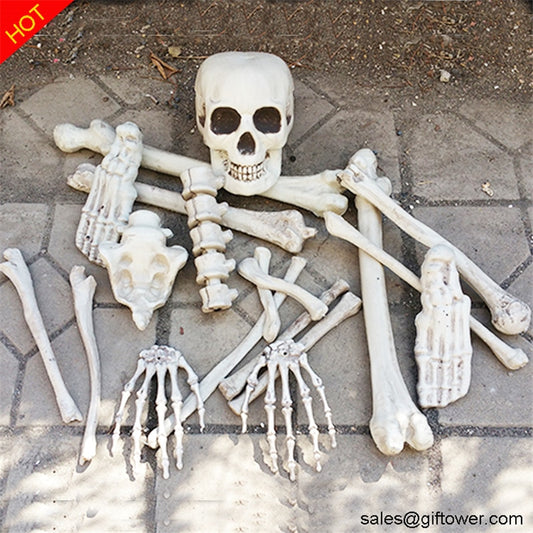 Bag of bones 19 pieces